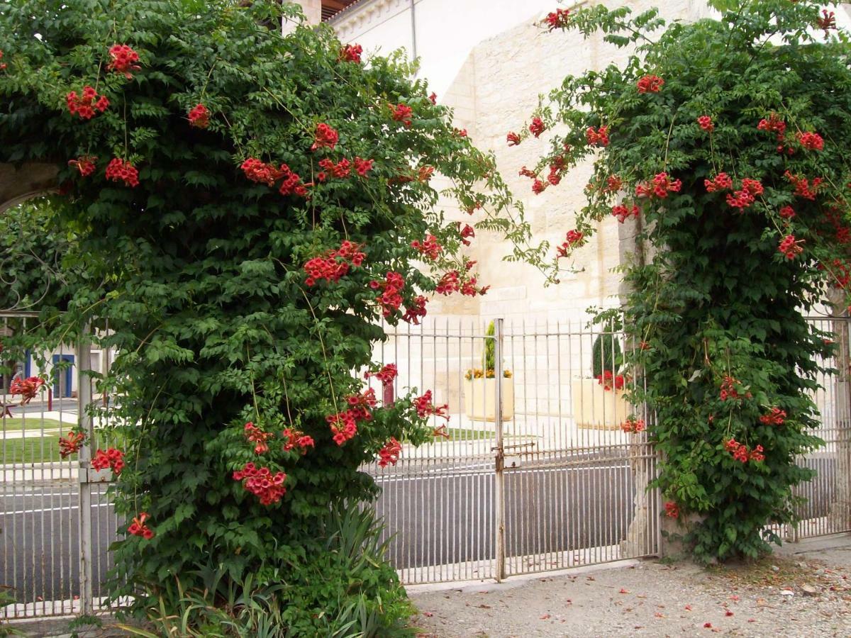Chateau La Gentilhommiere Du Puits Notre-Dame 30 Rue De L'Eglise 24110 Saint Leon Sur L'Isle Ngoại thất bức ảnh